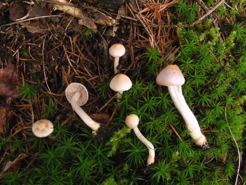 Escursione in riva al lago